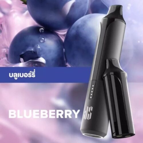 Ks-Quik-Pro-15000-Puff-Blueberry-starter-Kit