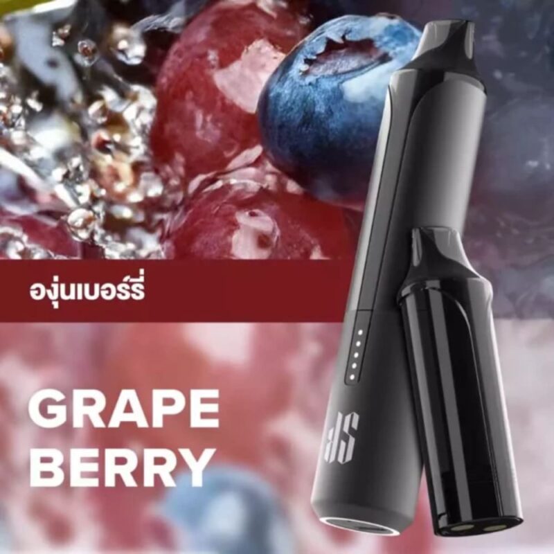 Ks-Quik-Pro-15000-Puff-Grape-Berry-starter-Kit-600x600