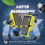 vmc-12000-lotte-blueberry