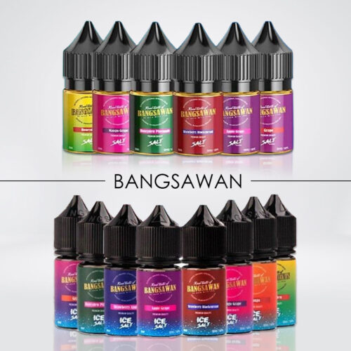 Bangsawan-Saltnic